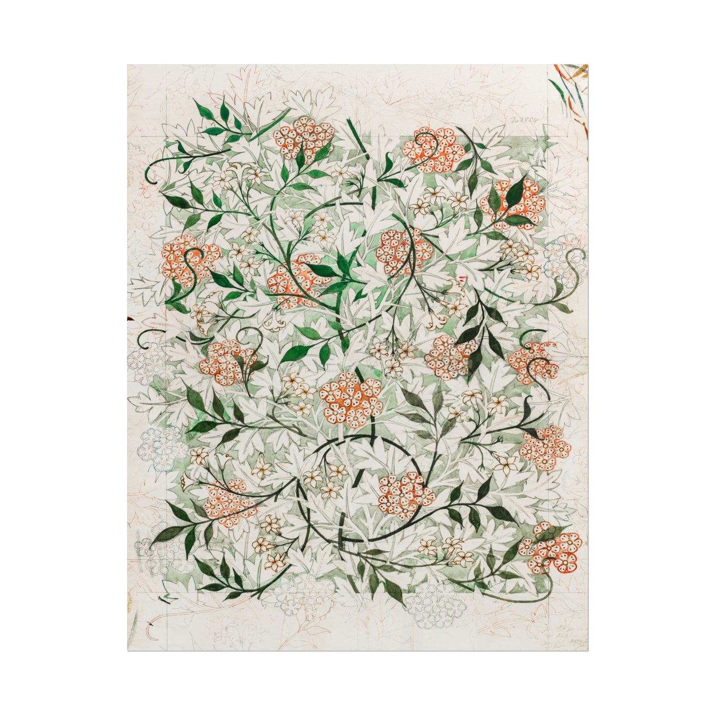 Jasmine Illustration poster by William Morris - 11x14 inch print