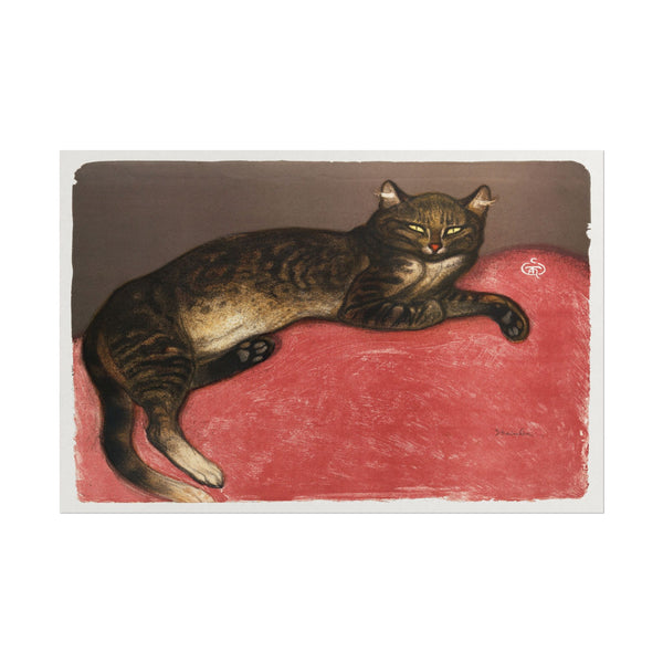 Cat lounging comfortably on a vibrant red cushion.