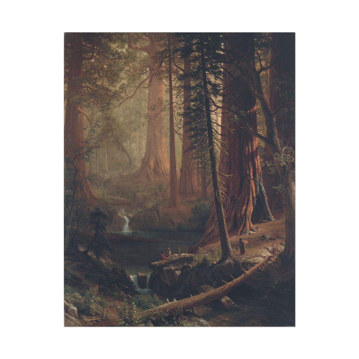 Giant Redwood Trees of California poster by Albert Bierstadt - 11x14 inch print