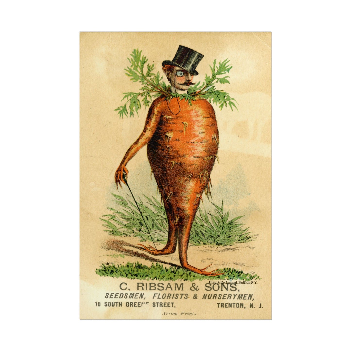 Victorian Carrot Man poster by C Ribsam & Sons - 12x18 inch print