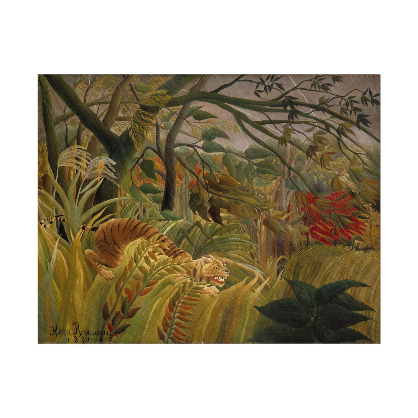 Surprised! poster by Henri Rousseau - 11x14 inch print