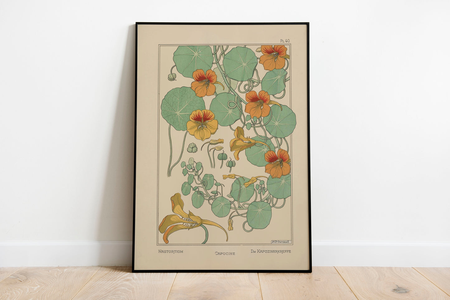Nasturtium Flower poster by Edmund Dulac - Black frame wall art