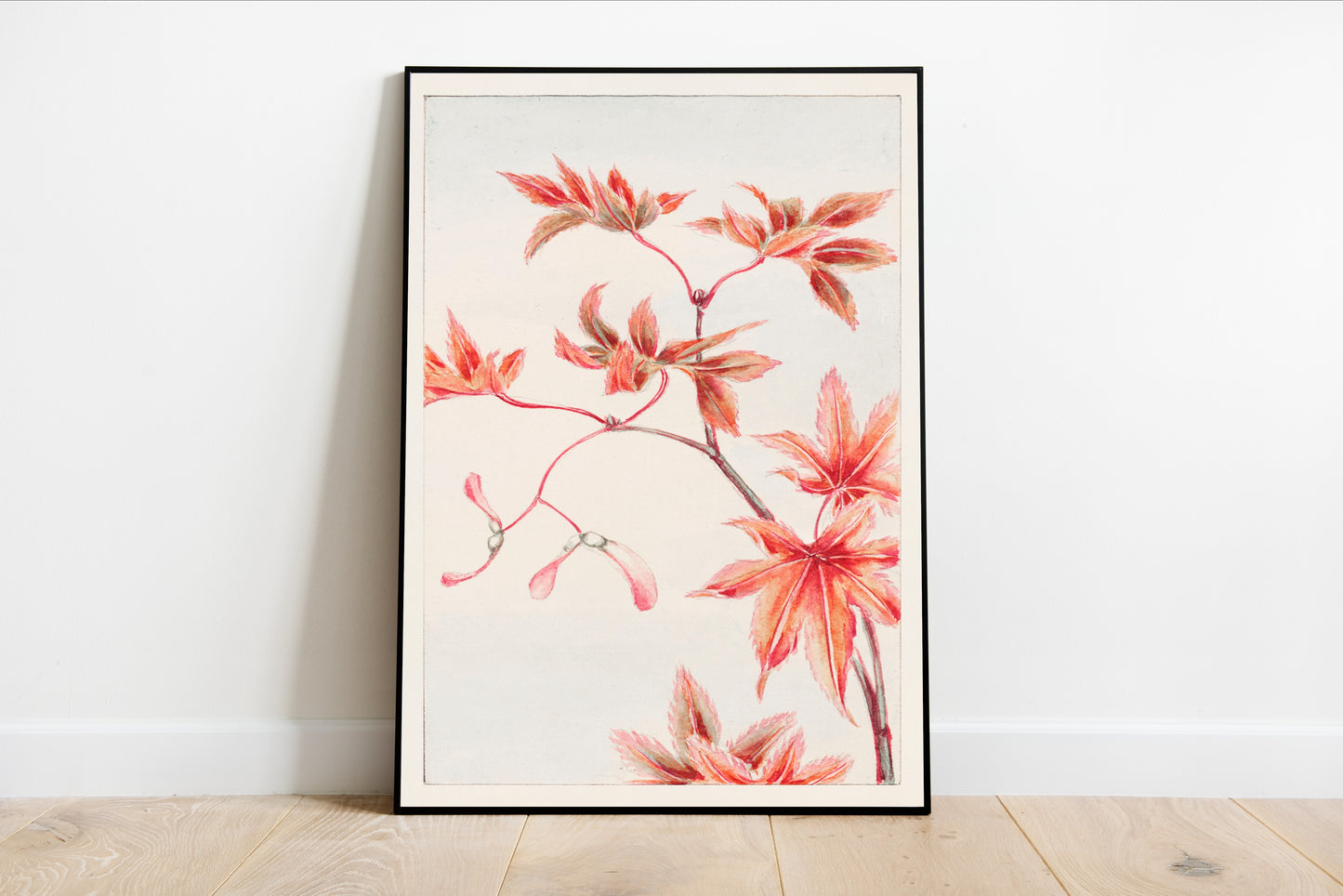 Momiji Maple Leaves & Seeds