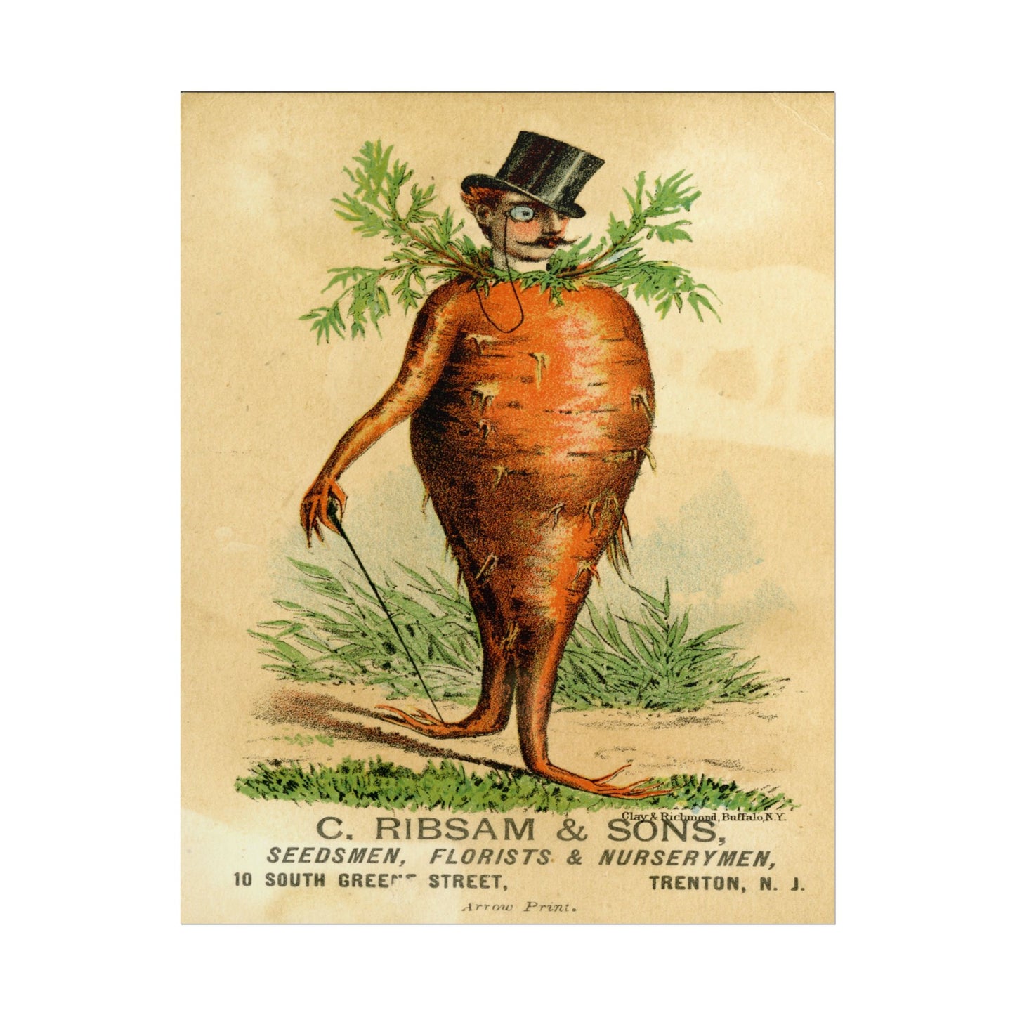 Victorian Carrot Man poster by C Ribsam & Sons - 11x14 inch print