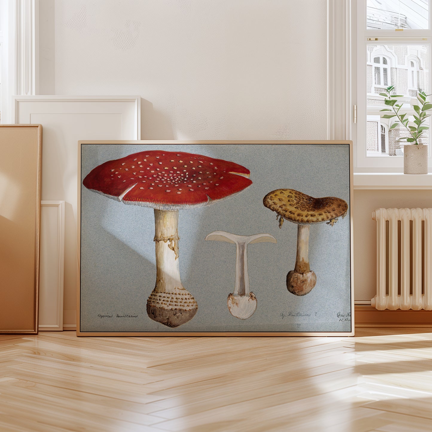 Mushrooms
