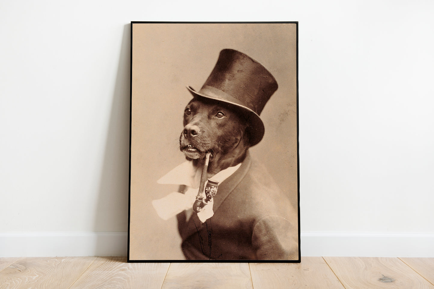 Gentlemen Dog
