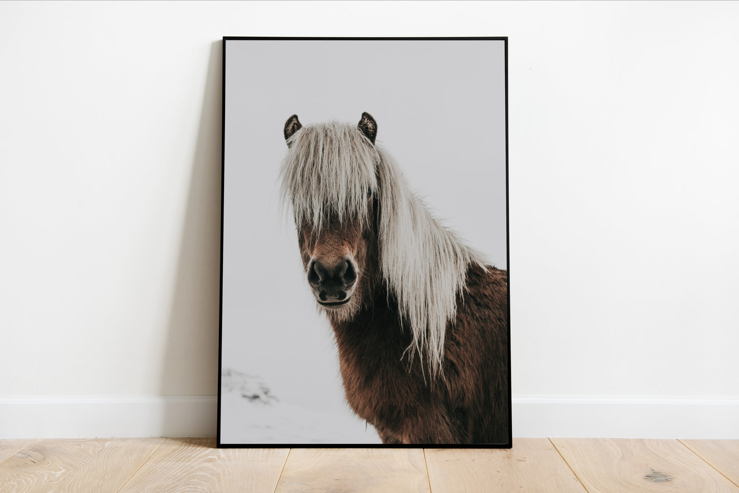 Horse Portrait in Snow