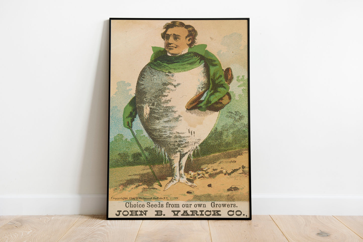 Victorian Turnip Man poster by C Ribsam & Sons - Black frame wall art