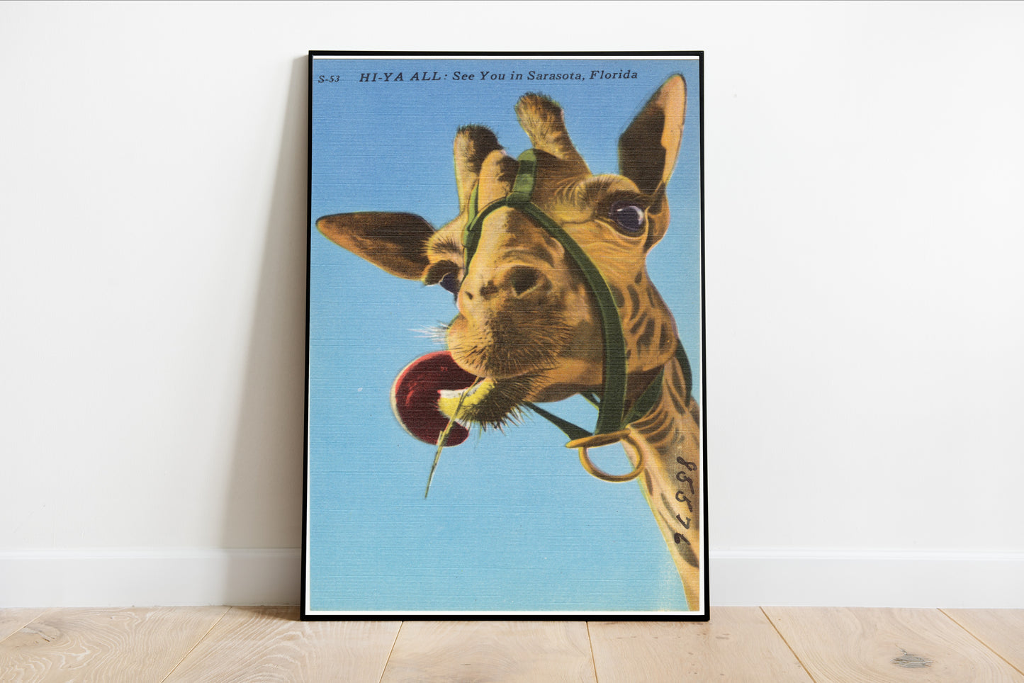 Vintage Giraffe Postcard