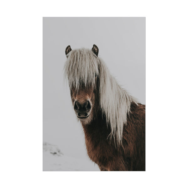 Portrait of a brown horse with a long mane in the snow.