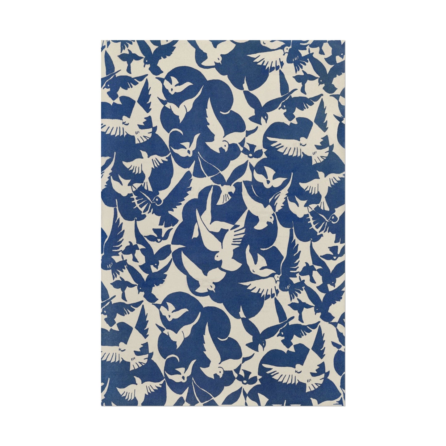 Pigeons in White and Blue poster by Owen Jones - 20x30 inch poster print
