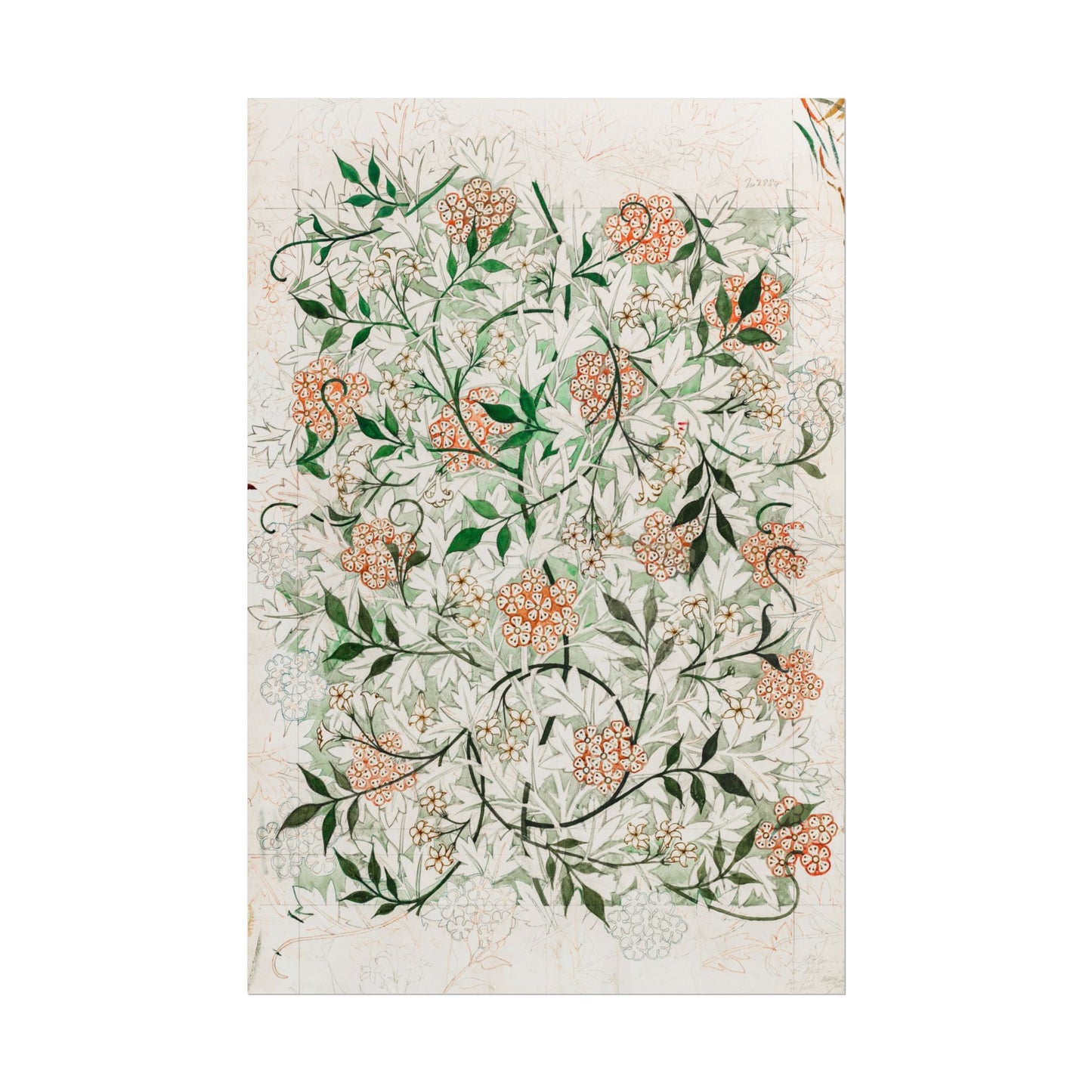 Jasmine Illustration poster by William Morris - 16x24 inch poster print