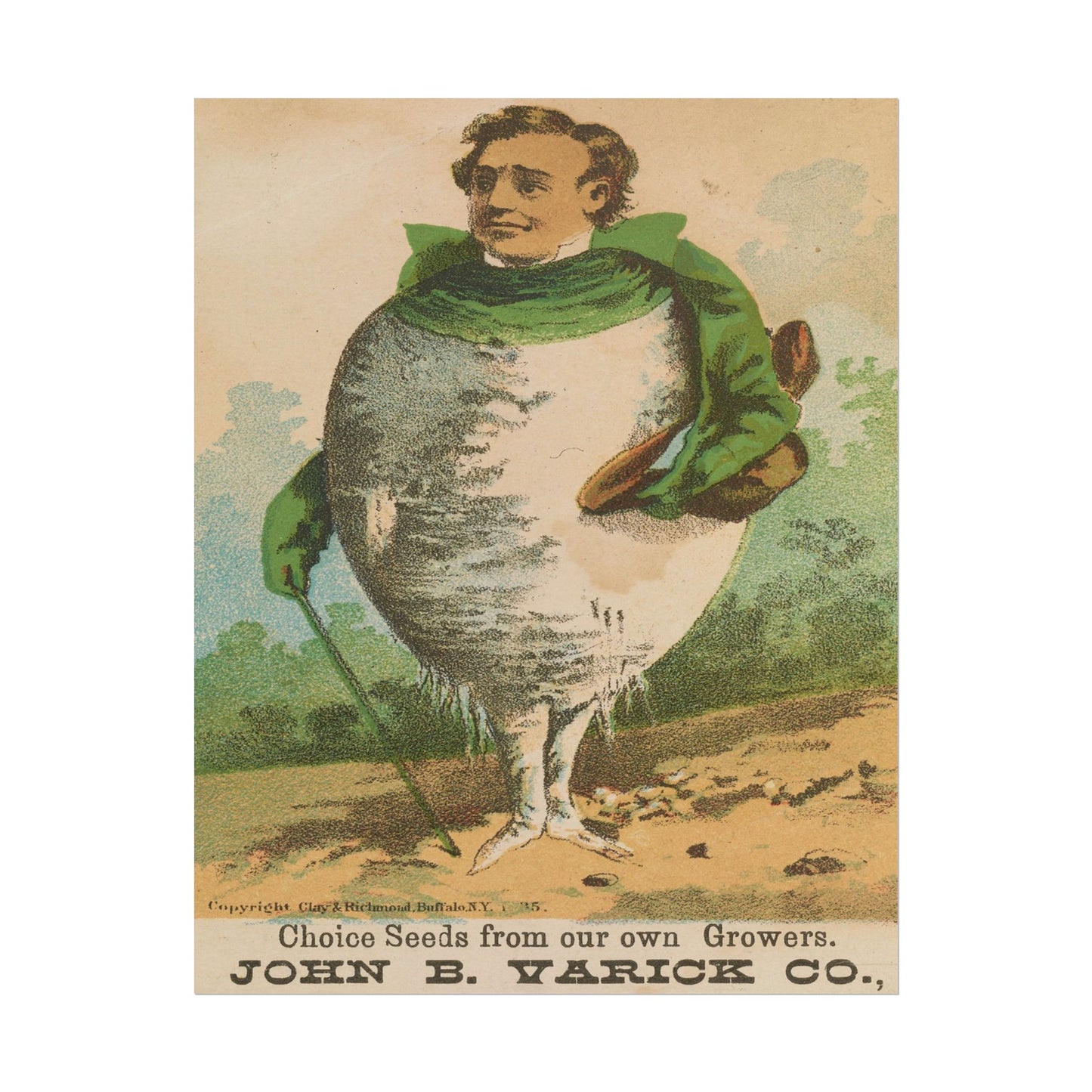Victorian Turnip Man poster by C Ribsam & Sons - 11x14 inch print