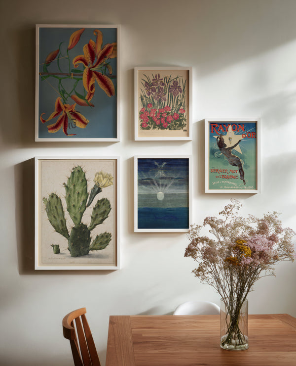 Coastal Bloom