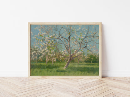 Study of Blooming Trees