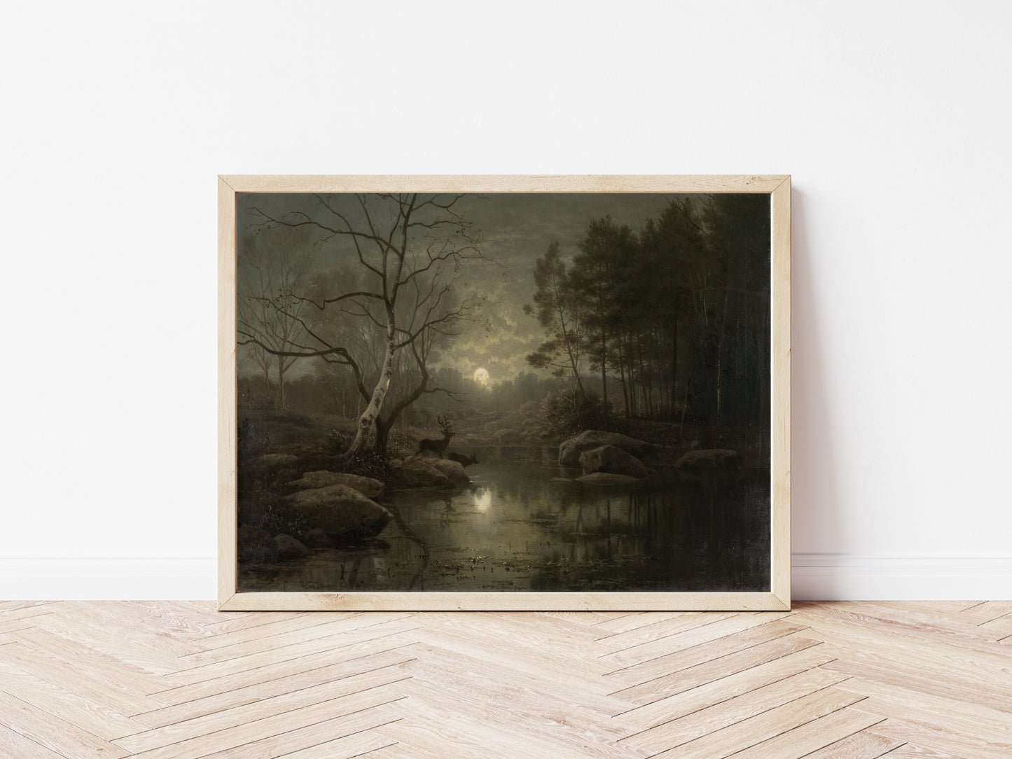Forest Landscape in the Moonlight