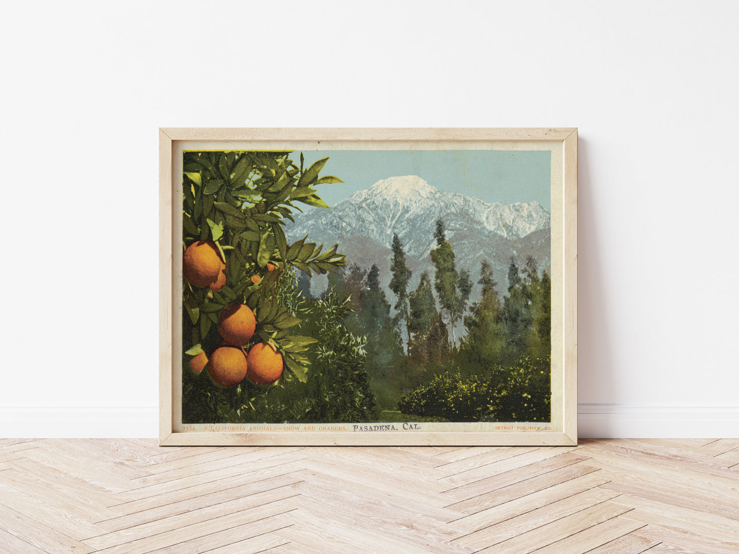 A California Anomaly, Snow and Oranges