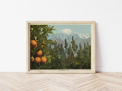 A California Anomaly, Snow and Oranges