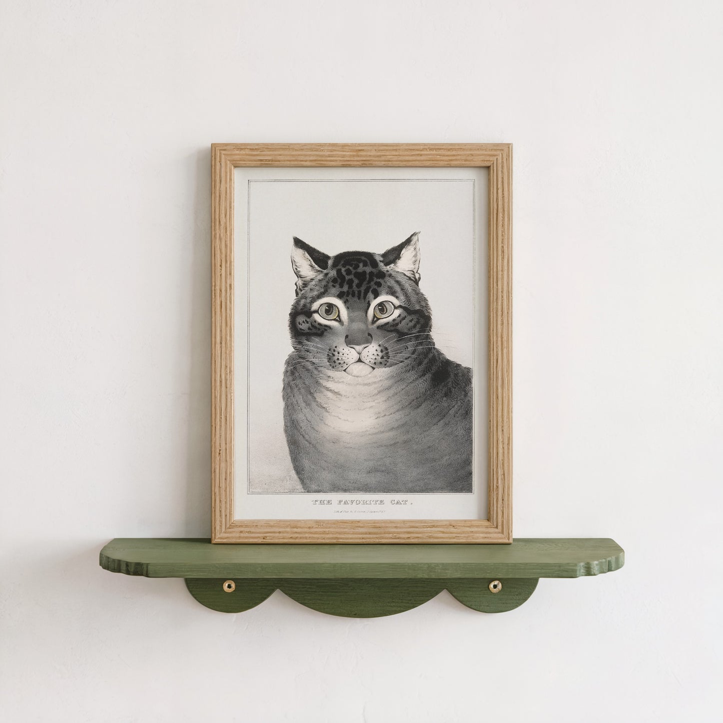 Japanese Cat