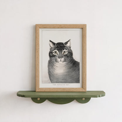 Japanese Cat