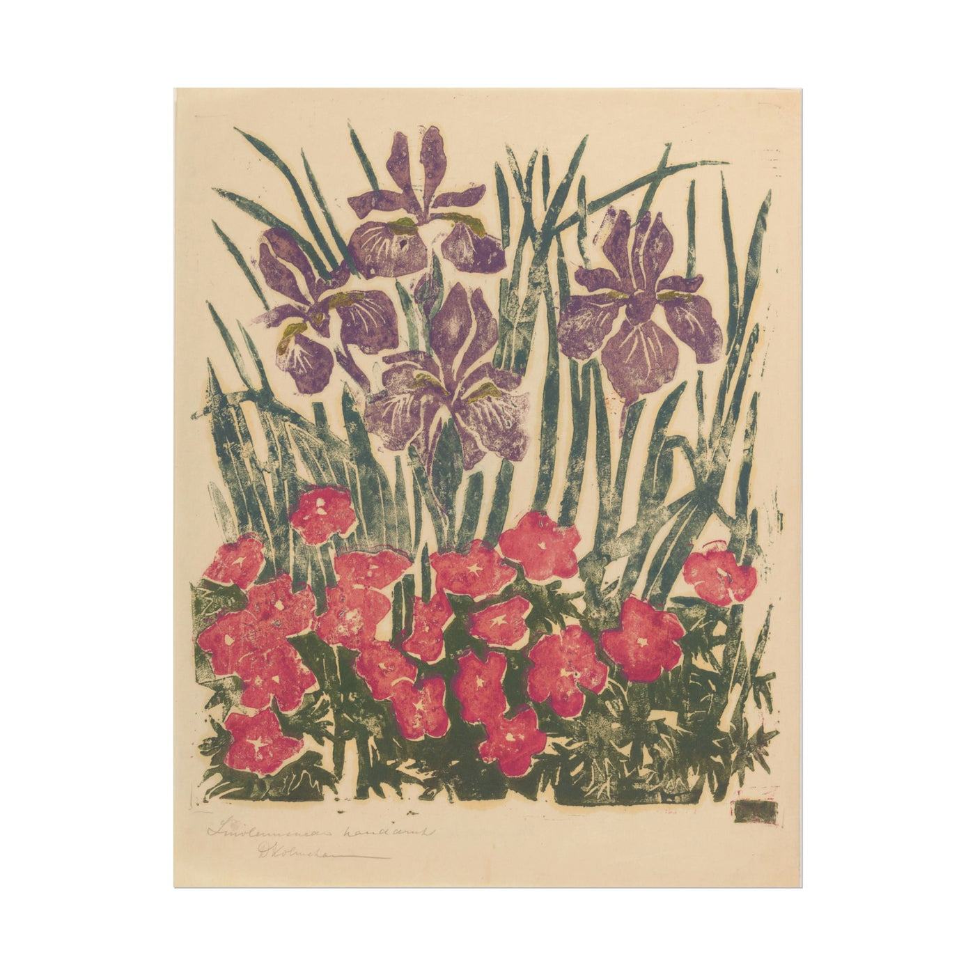 Floral Art Print 11″×14″
