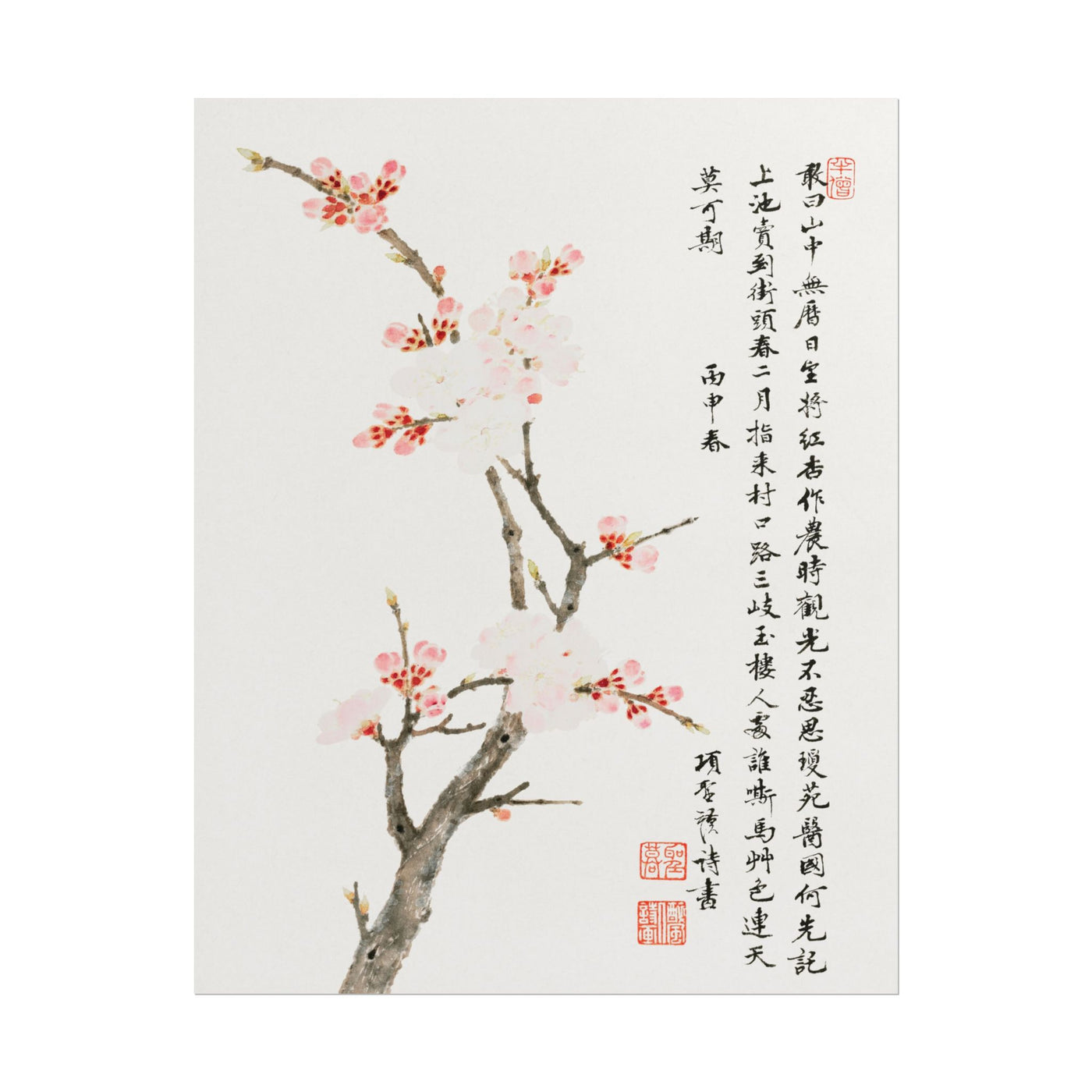 Chinese Cherry Blossom 11″×14″