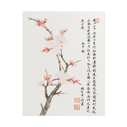 Chinese Cherry Blossom