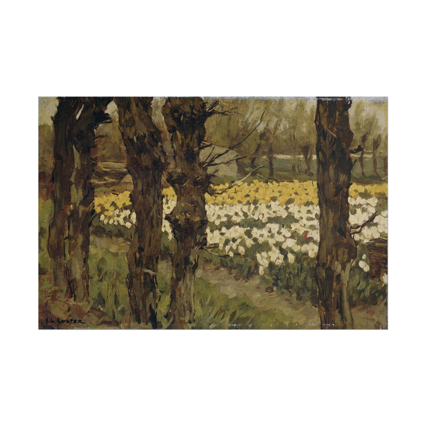 Spring Daffodil Field Art Print 18″×12″