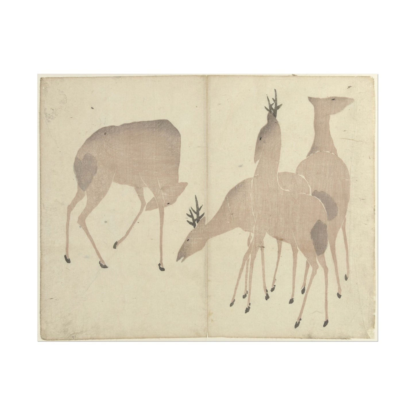 Four Deer