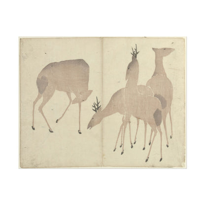 Four Deer
