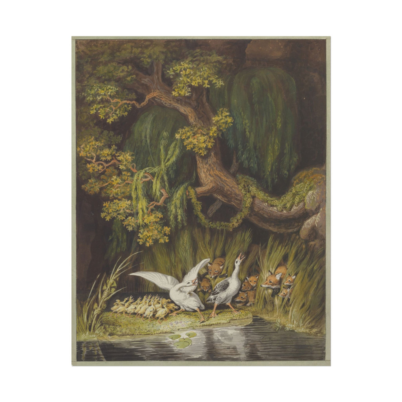 Goose, Gander, and Foxes 11″×14″