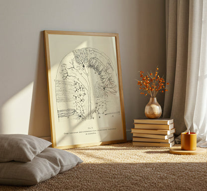Neuron Drawing poster by Ramon Santiago y Cajal  - Neutral room decor with framed print