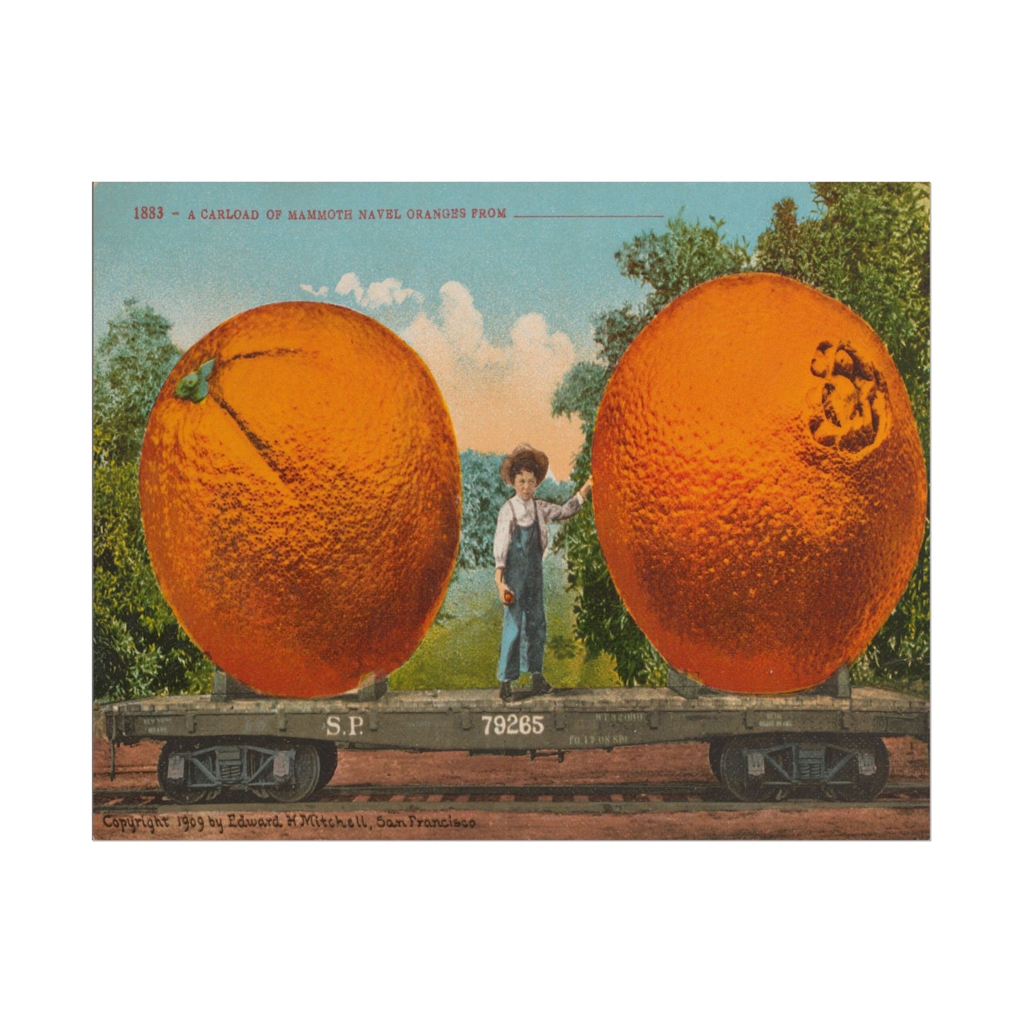 Giant Oranges Art Print