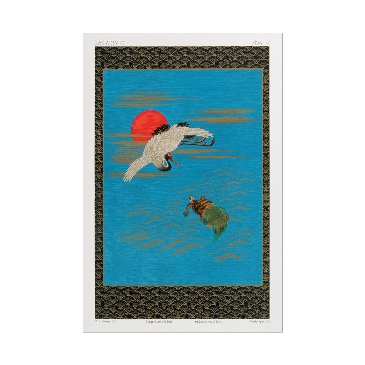 Sarus Crane and Turtle