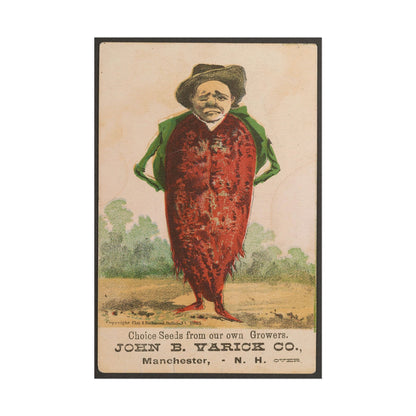 Victorian Beetroot Man poster by C Ribsam & Sons - 24x36 inch wall art