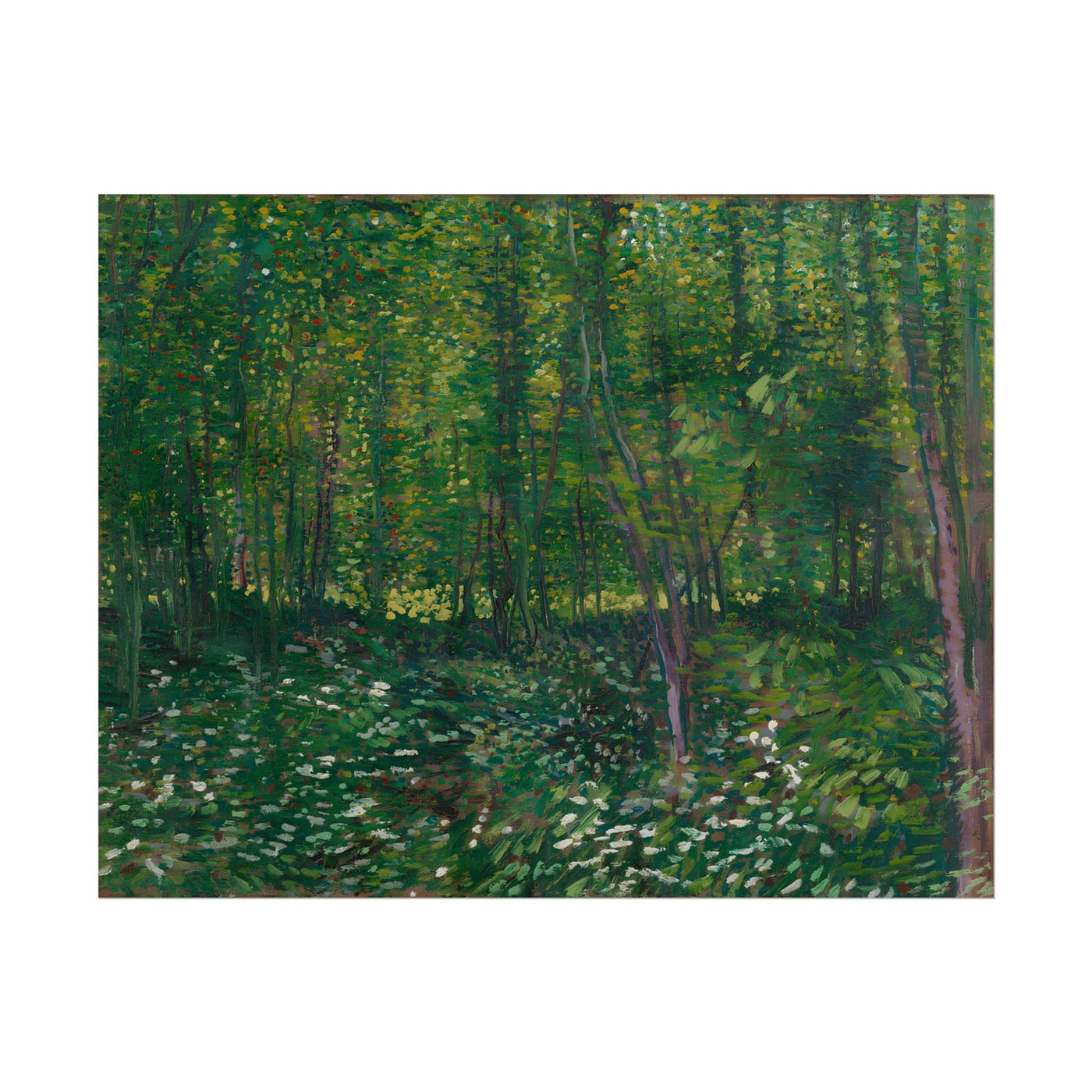 Trees and Undergrowth 14″×11″
