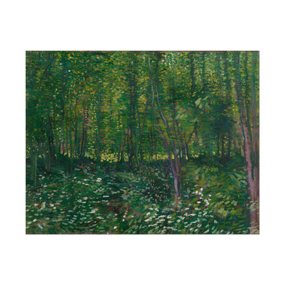 Trees and Undergrowth poster by Vincent Van Gogh  - 11x14 inch print