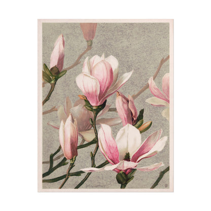 Magnolia Print