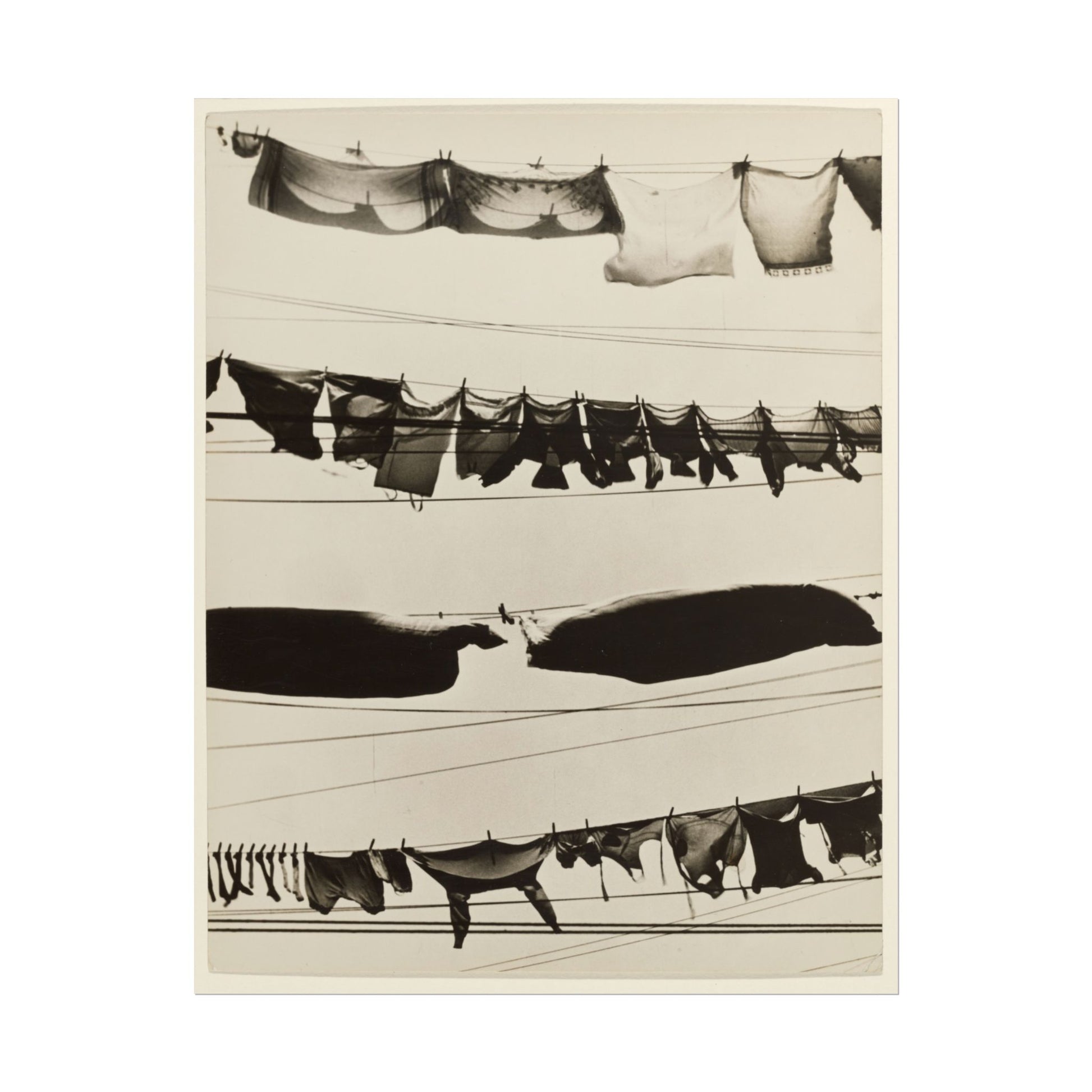 Black and white photography of clothes hanging on lines.