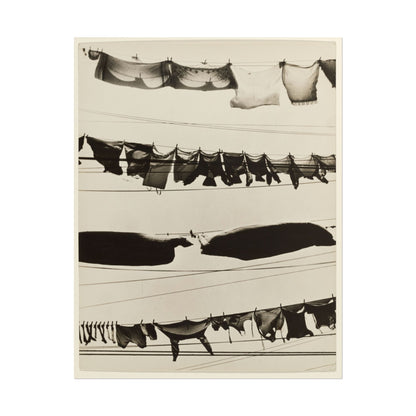 Black and white photography of clothes hanging on lines.