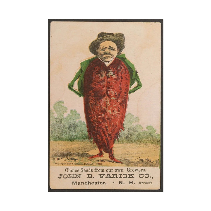 Victorian Beetroot Man poster by C Ribsam & Sons - 12x18 inch print