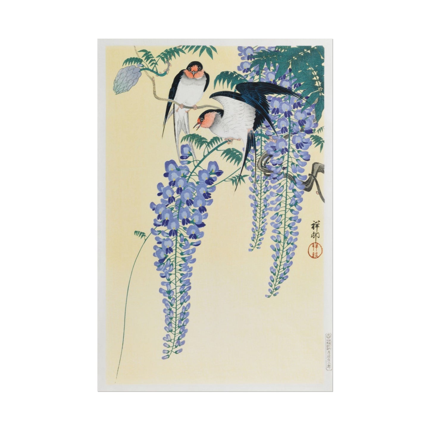 Swallows and Wisteria