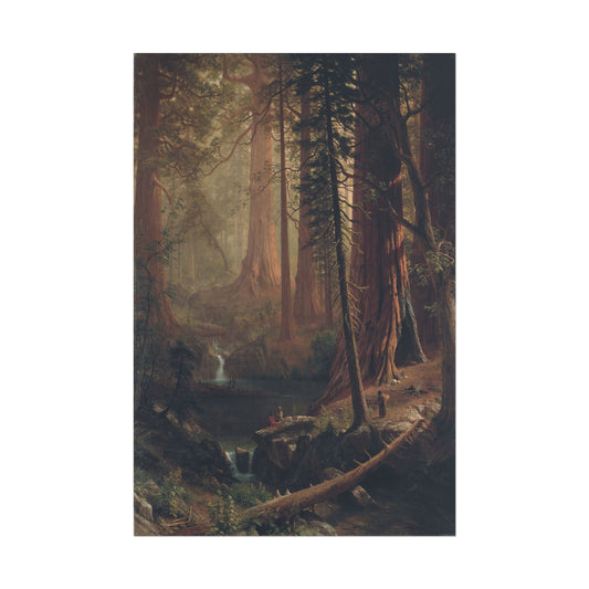 Giant Redwood Trees of California poster by Albert Bierstadt - 12x18 inch print