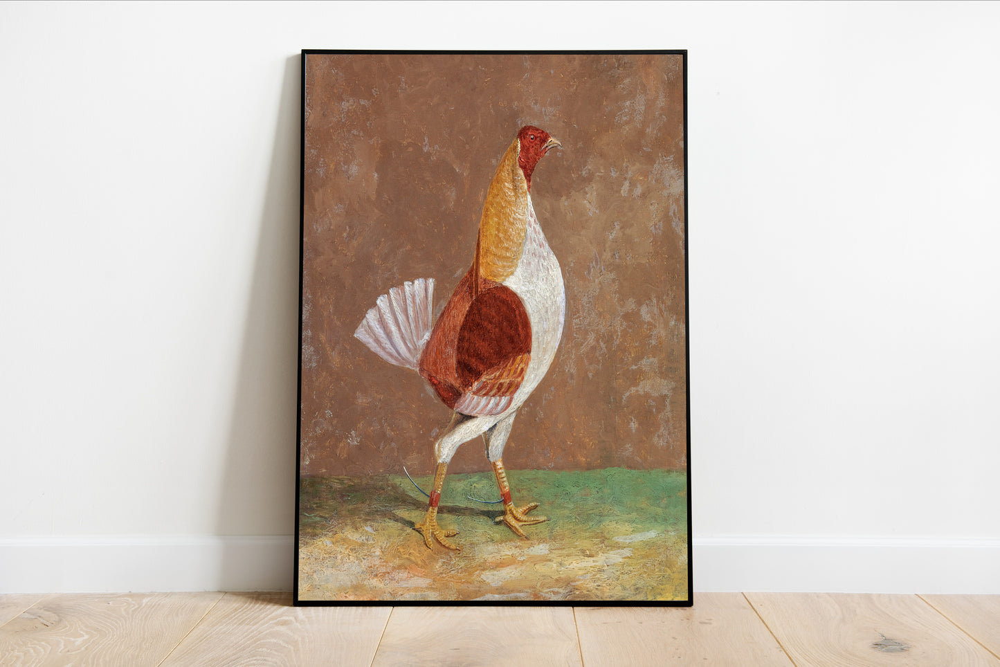 Breasted Fighting Cock