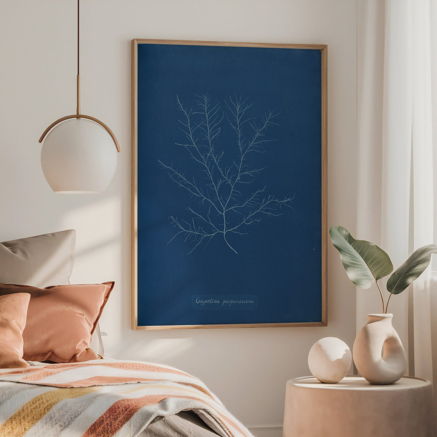 Gigartina Pupurascens Cyanotype