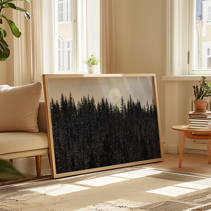 Dark Forest