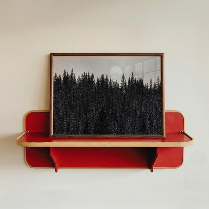 Dark Forest