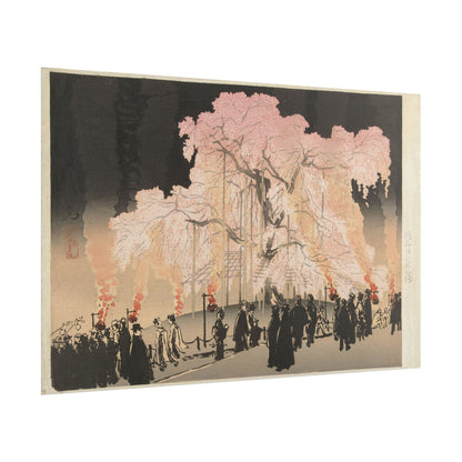 Evening Cherry Blossoms Print
