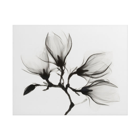 Delicate black and white illustration of a magnolia branch