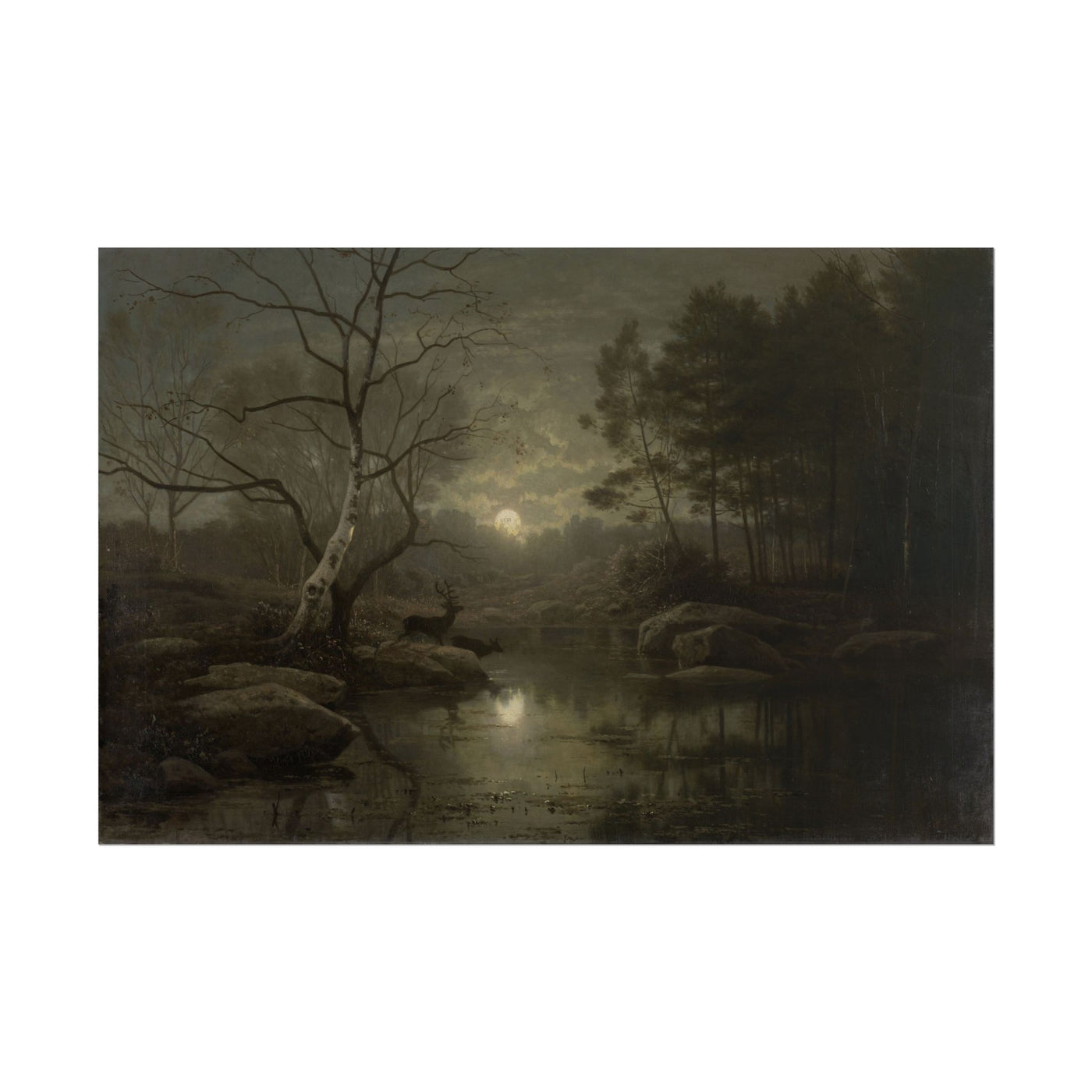 Forest Landscape in the Moonlight 18″×12″